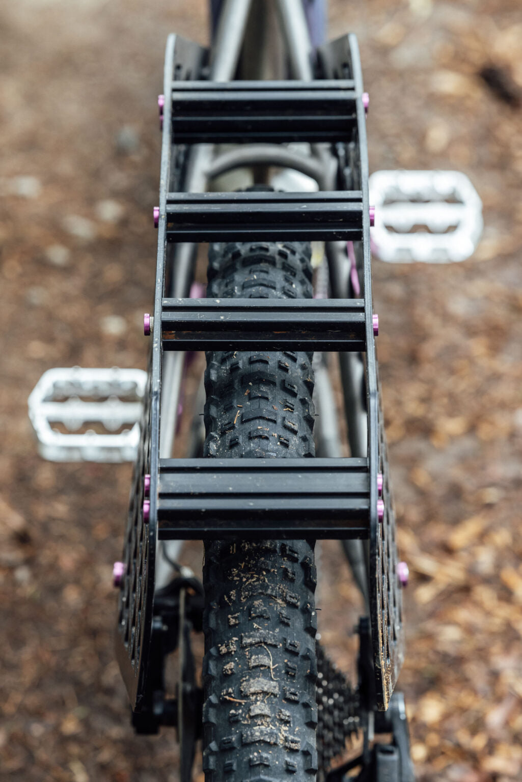 Molle Rackwald - Pre Order