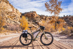 Large Pannier V2 - Stocked