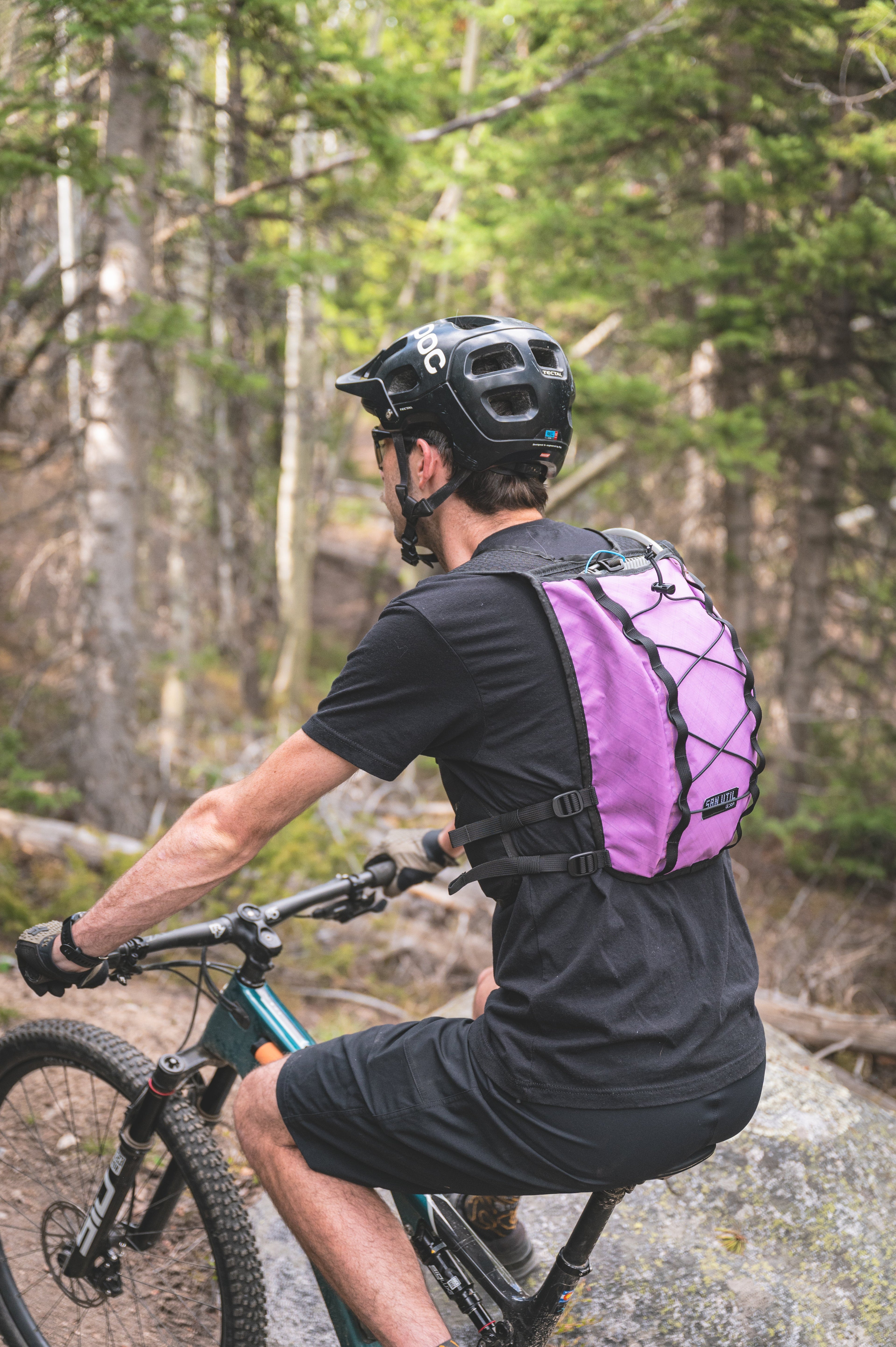 The Saguaro Vest