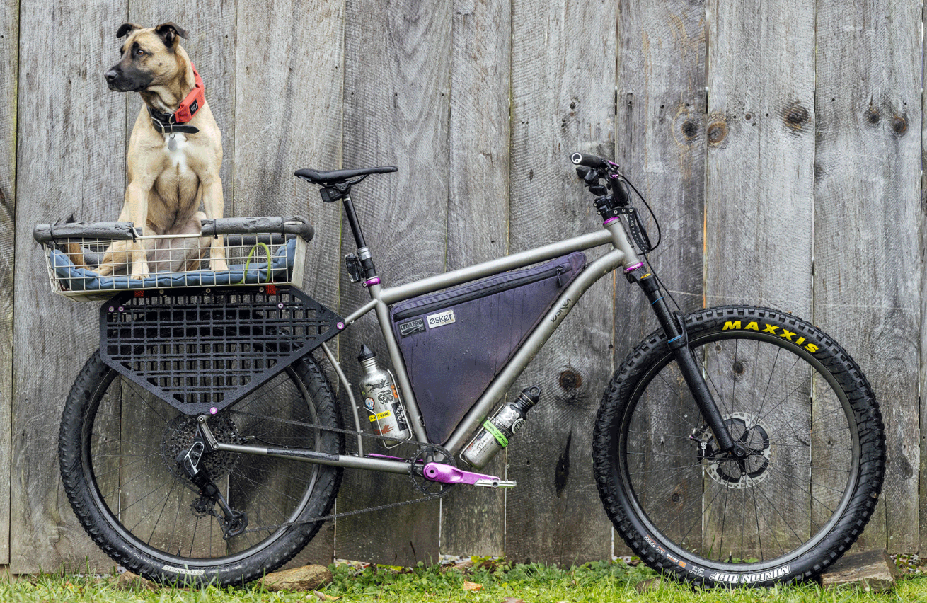 Molle Rackwald - Pre Order