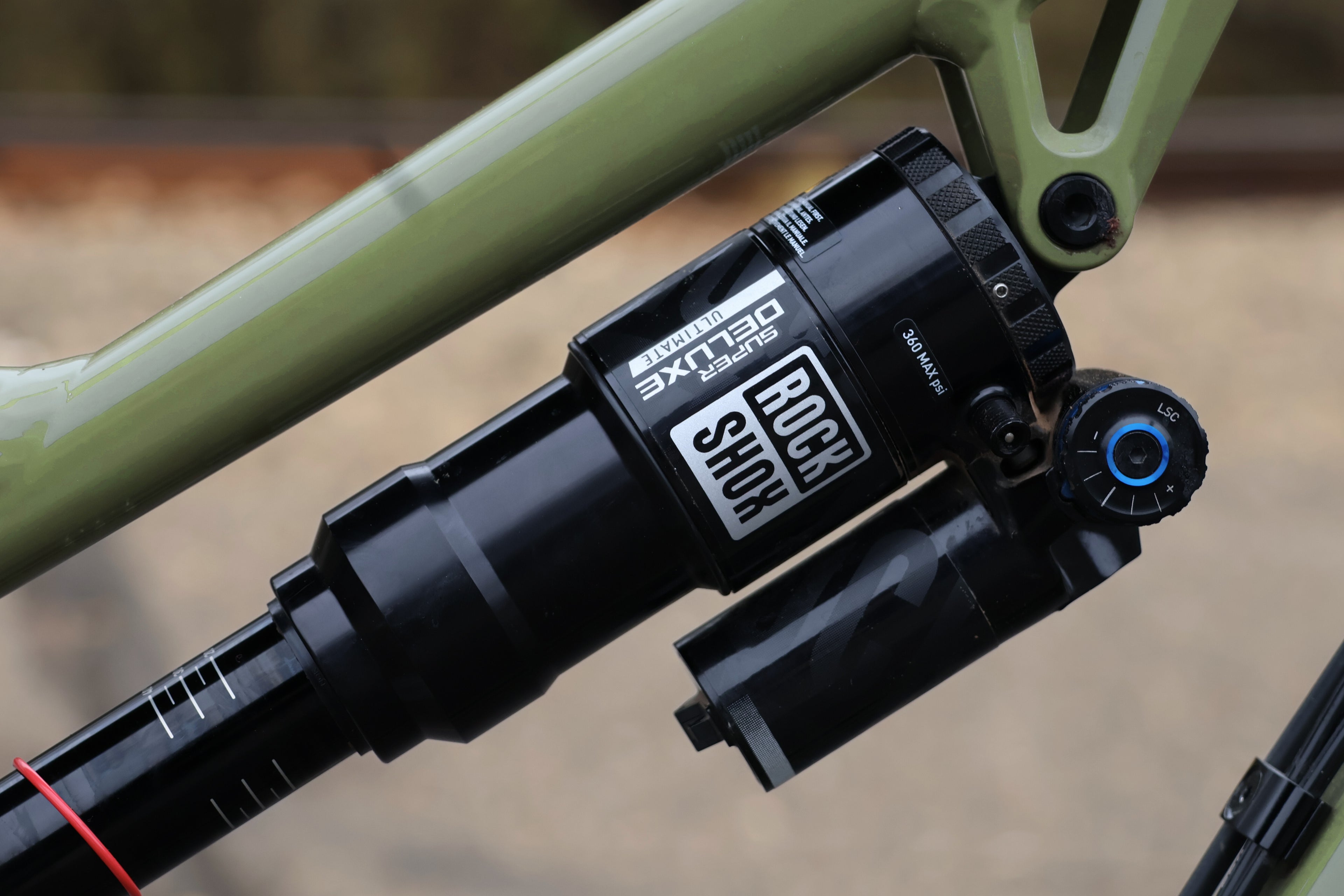 DEMO:  Woodsy - Large