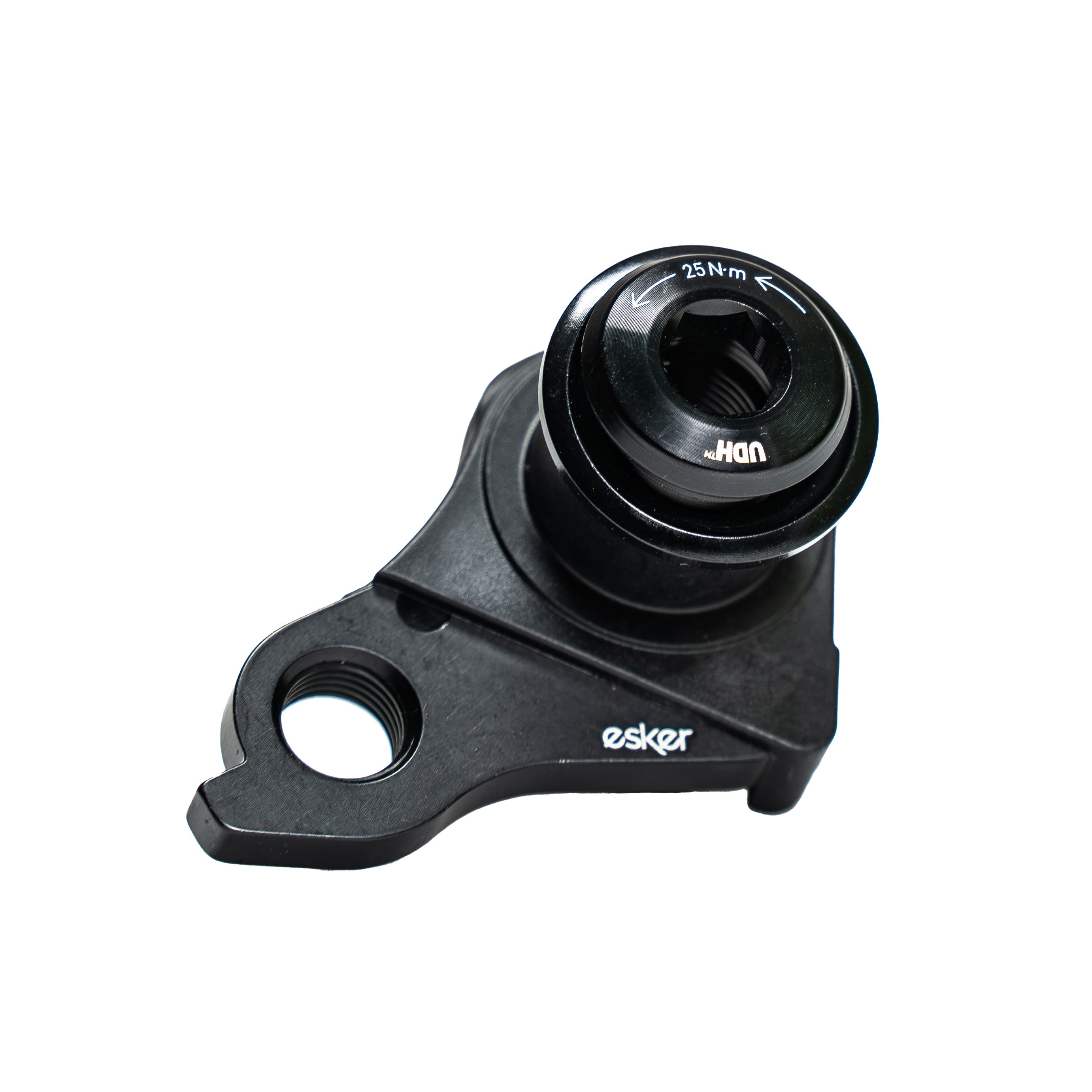 Universal Derailleur Hanger (UDH)