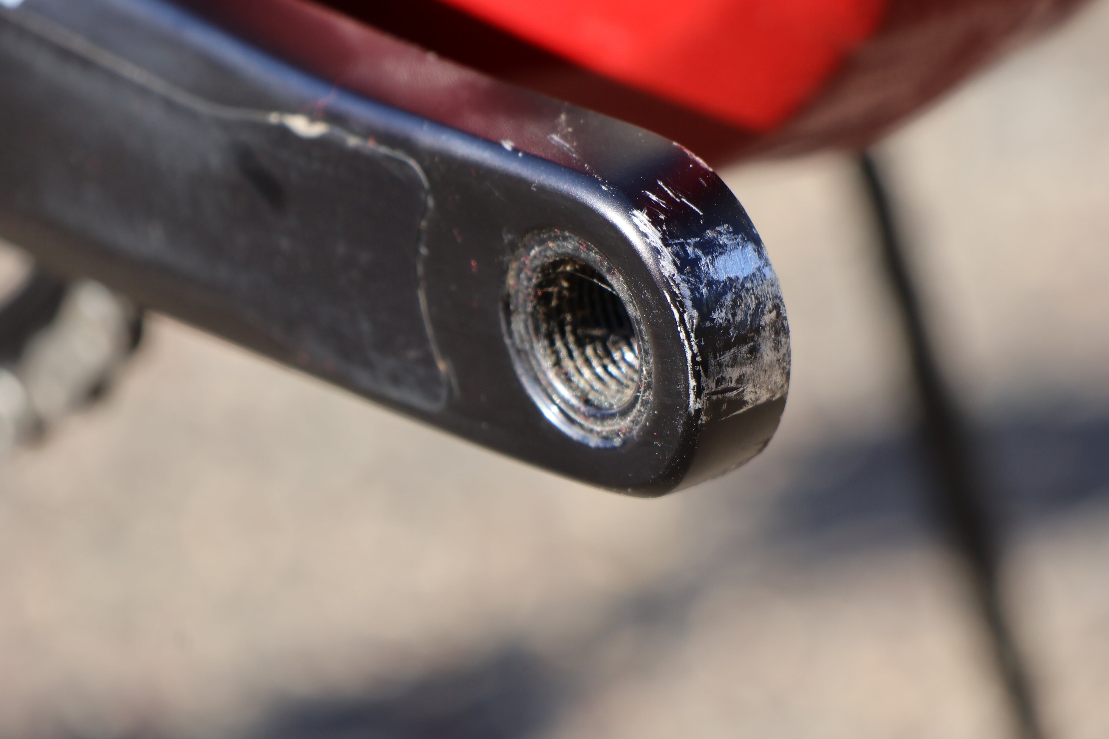 DEMO:  Woodsy - Large