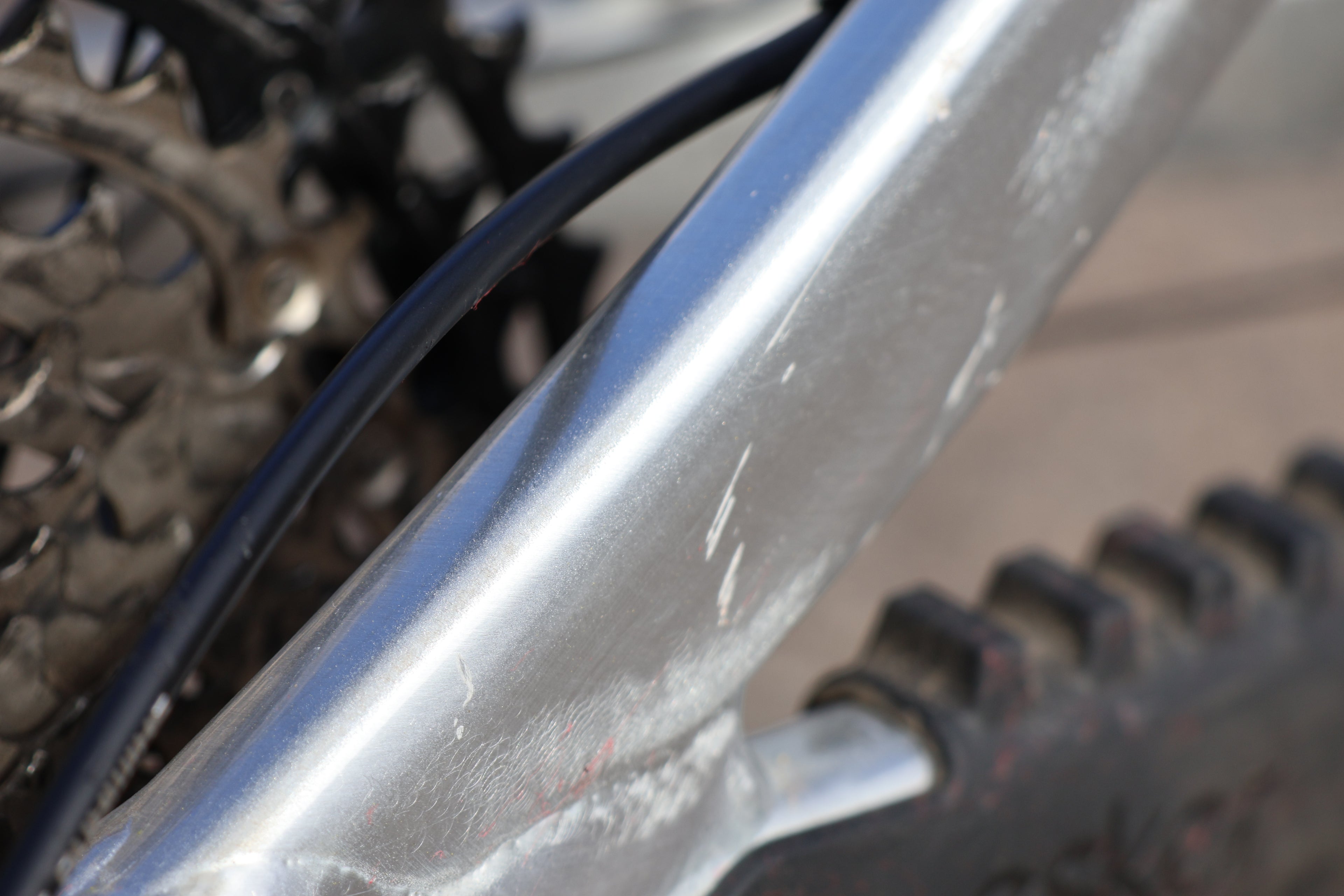 DEMO:  Woodsy - Extra Large